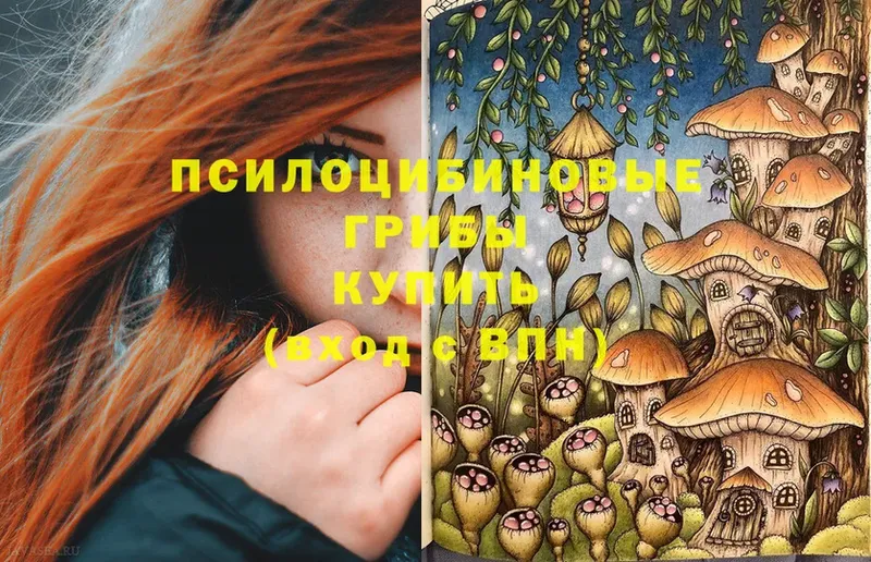 Галлюциногенные грибы Magic Shrooms  Ивангород 